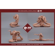 MAHA studio MH2201 1/6 Scale Figure body in 3 styles (Re-issue)