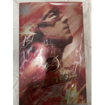 Hot Toys TMS009 1/6 Scale The Flash
