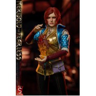 Swtoys FS064 1/6 Scale Merigold the fearless