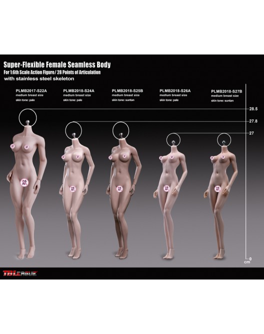 1/6 Female Seamless Body Pale Skin & Medium Breast S32A