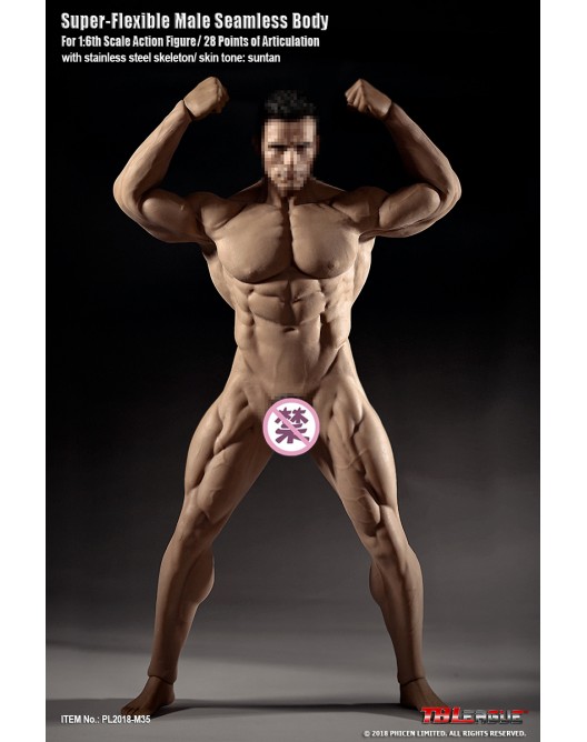 TBLeague PL2018-M35 1/6 Super-Flexible Male Body 12'' Suntan Skin Figure Doll