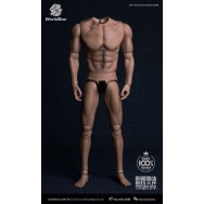Worldbox AT017 1/6 Scale figure body