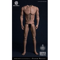Worldbox AT017 1/6 Scale figure body