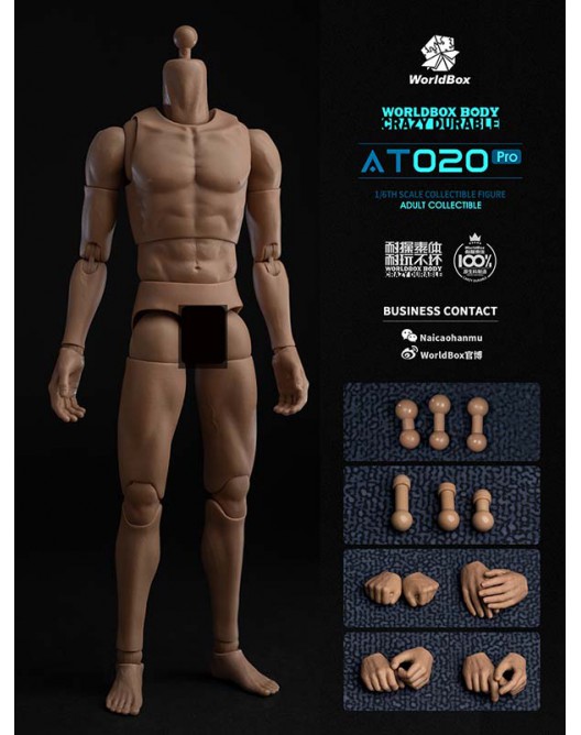 NEW PRODUCT: Worldbox AT020PRO 1/6 Scale Figure Body 00-01-528x668