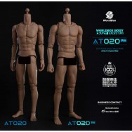 Worldbox AT020PRO 1/6 Scale Figure Body