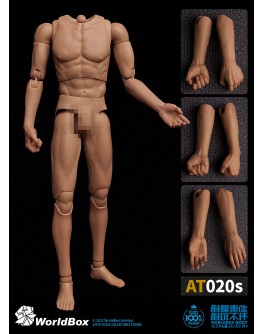 Worldbox AT020S 1/6 Scale Body with forearms